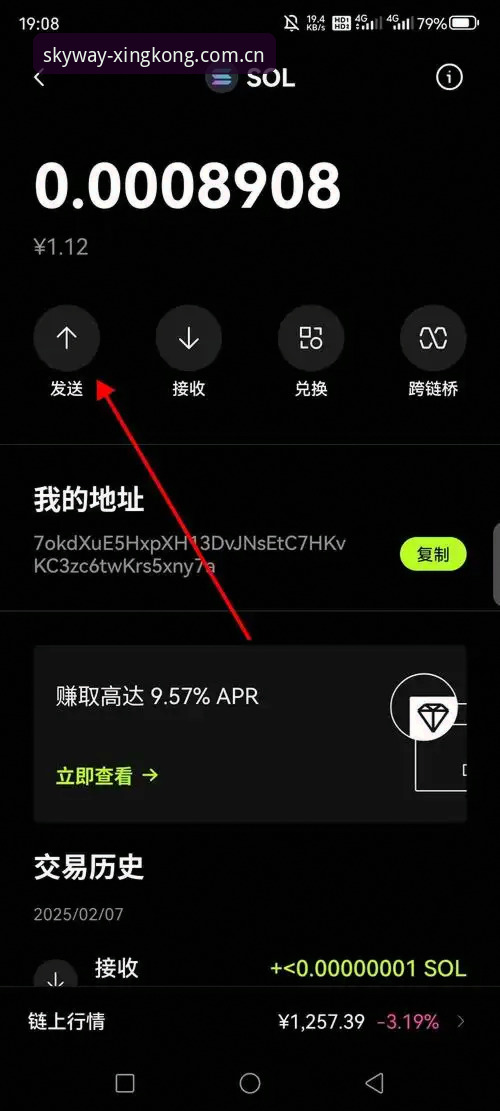 星河正版 APP 下载 星河正版APP下载指南:一次真实体验分享