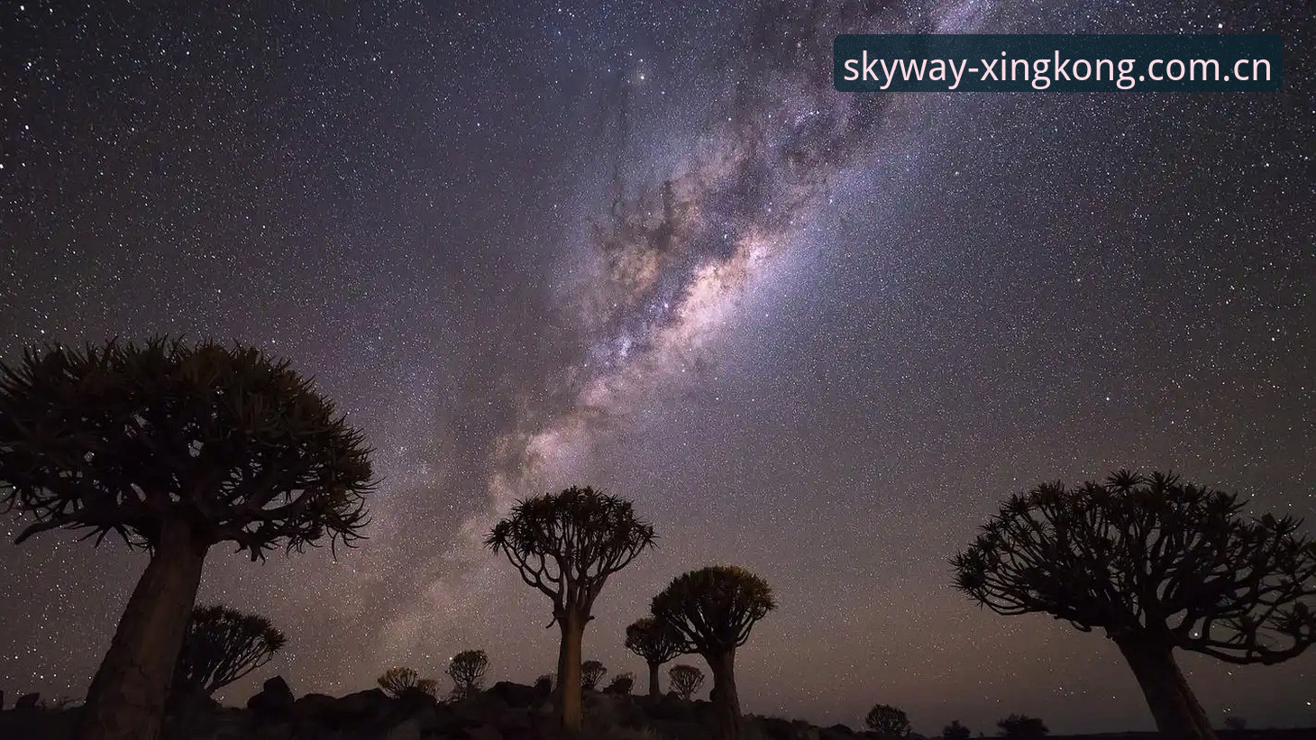 星空APP HJ8T 中国 星空APP HJ8T 中国上手指南:从下载到畅看赛事的完整路径